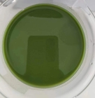 Maximizar el crecimiento de las plantas con el fertilizante soluble de algas marinas EINECS No. 700-983-2